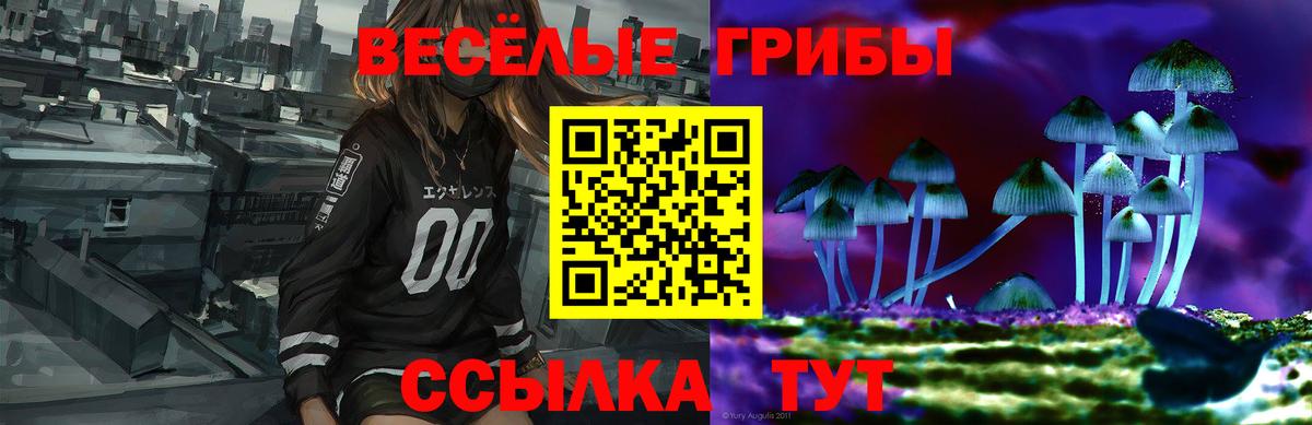Псилоцибиновые грибы Psilocybine cubensis Алексин